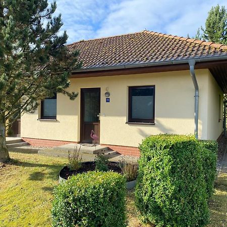 Ferienhaus Vogelmeer Marlow Dış mekan fotoğraf